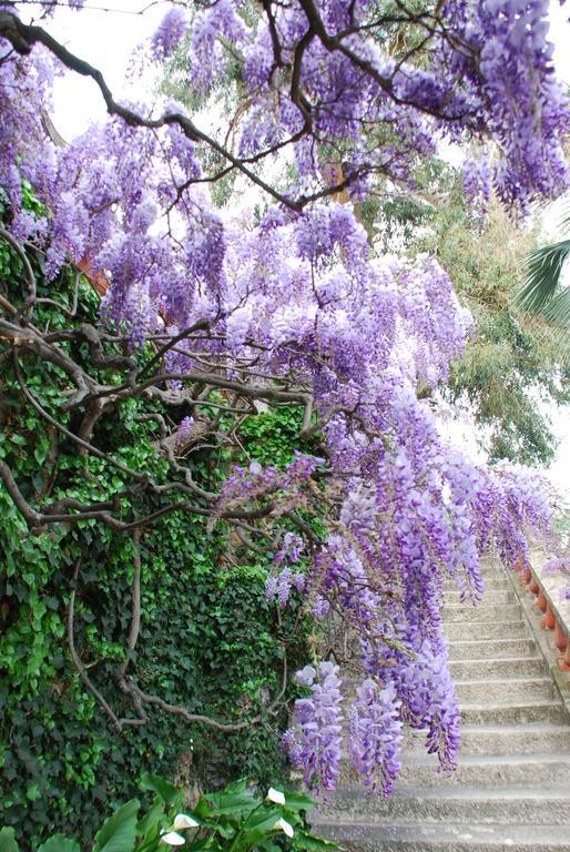 Villa Della Pergola Relais Et Chateaux Alassio Zewnętrze zdjęcie