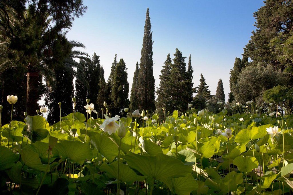 Villa Della Pergola Relais Et Chateaux Alassio Zewnętrze zdjęcie